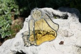 Andělka žlutá copatá - Lesní sklo