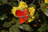 Srdce velké oranžové - Lesní sklo