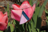 Modro - růžový šperk - Lesní sklo