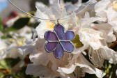 Kytička fialová - Lesní sklo