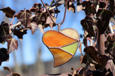 Srdce podzimních barev - Lesní sklo