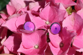Růžové náušnice puzety s kresbou - Lesní sklo
