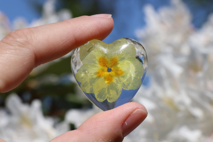 Kabošon srdce - žlutý petrklíč  - Lesní sklo