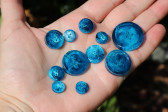 Sada modrých knoflíků - Lesní sklo