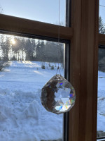 Lapač slunce velký - Lesní sklo