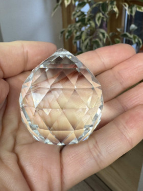 Lapač slunce velký - Lesní sklo