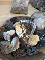 Lapač slunce velký - ozdoben růžovou a modrou - Lesní sklo